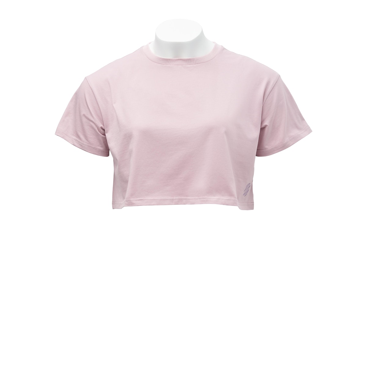 BlenderBottle Cropped T-Shirt (S53ZT)